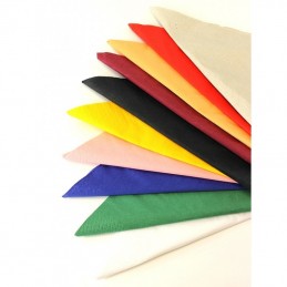 (NAP43)  10x100  40cm/3ply...
